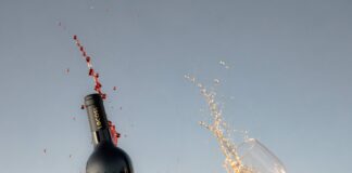 NACE LOCOS DEL VINO: LA NUEVA GAMA DE VINOS DE TORRES ESSENTIALS