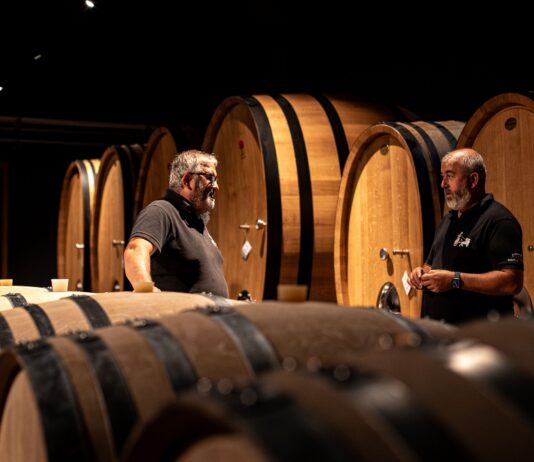 ATTIS CELEBRA 25 AÑOS AMPLIANDO SU BODEGA