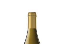 ALBA BALBAÍNA 2023, VINOS DE LA TIERRA DE CÁDIZ