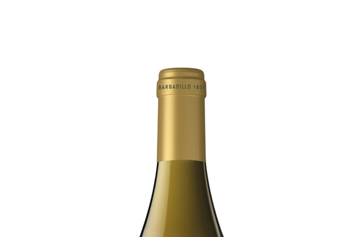 ALBA BALBAÍNA 2023, VINOS DE LA TIERRA DE CÁDIZ