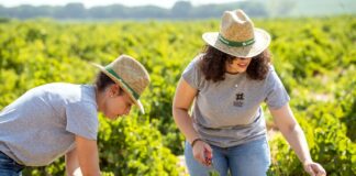 LA PRODUCCIÓN ECOLÓGICA GANA PESO EN BODEGA CUATRO RAYAS