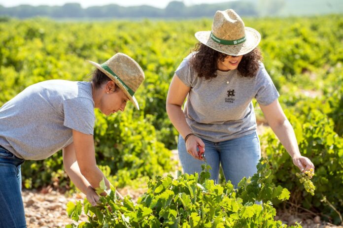 Cuatro Rayas apuesta por la producción ecológica