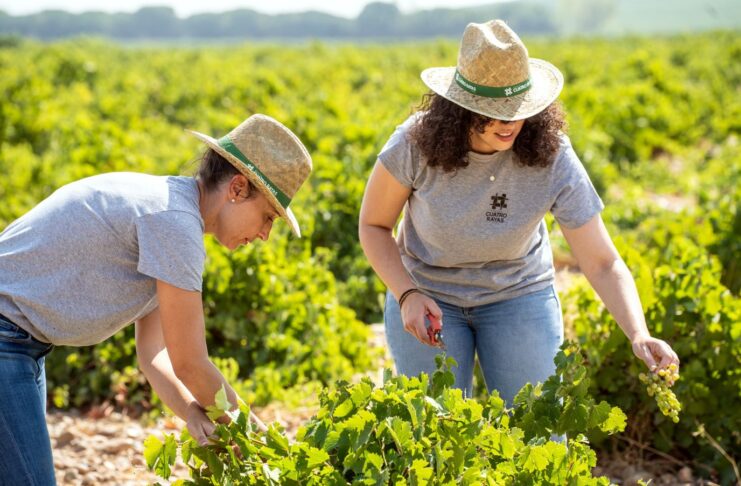 LA PRODUCCIÓN ECOLÓGICA GANA PESO EN BODEGA CUATRO RAYAS