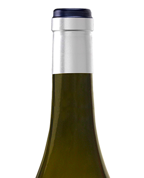PROTOS VERDEJO CUVÉE 2025: PURA EXPRESIÓN GASTRONÓMICA DEL VERDEJO